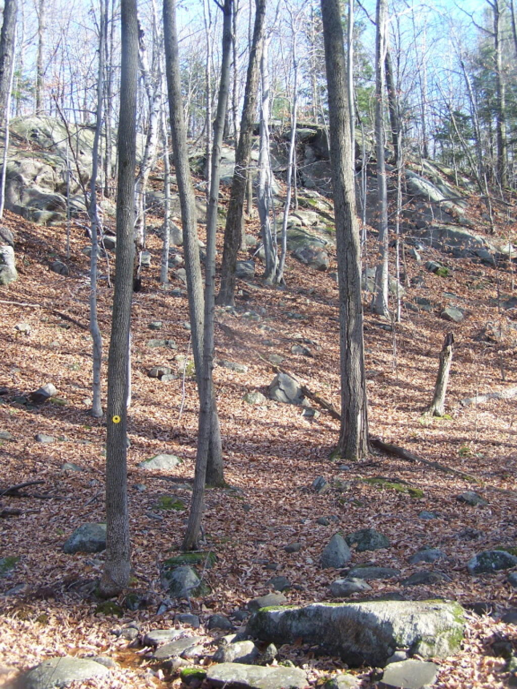 Photo: Down Thru Another Ravine