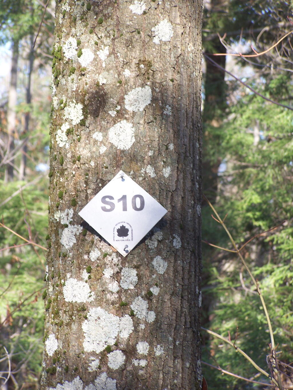 Photo: Intersection S10 Photo: Intersection S10
