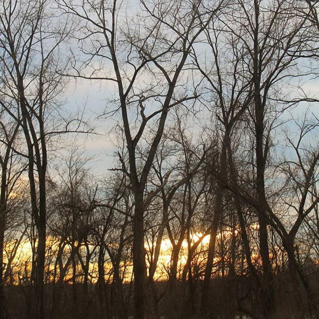 Photo: Typical winter 2016 afternoon Photo: Typical winter 2016 afternoon