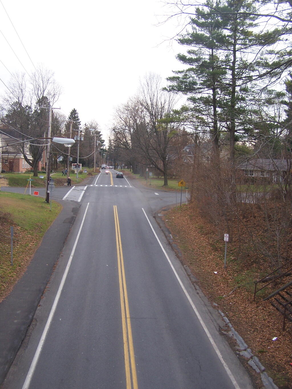 Photo: Elsmere Avenue South Photo: Elsmere Avenue South