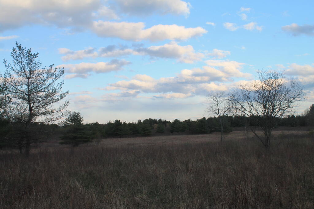 Photo: Field Photo: Field