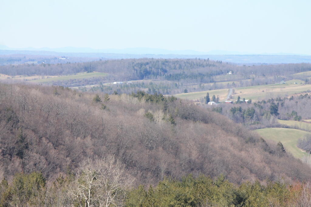 Photo: Irish Hill