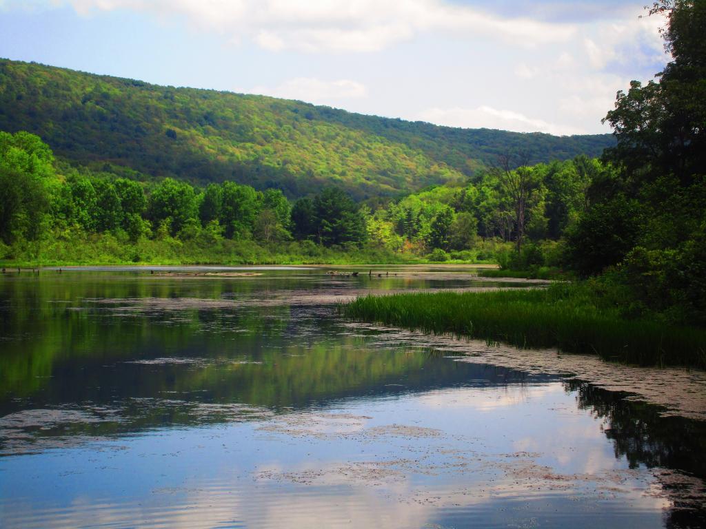 Photo: Pond in Texas Hollow Photo: Pond in Texas Hollow