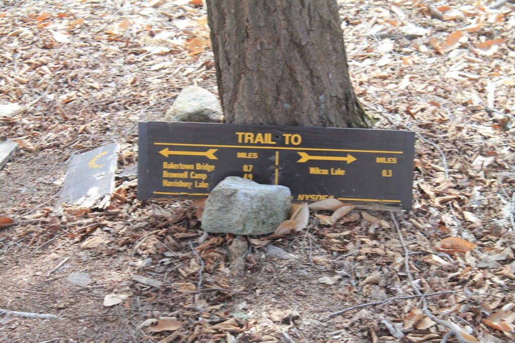 Photo: 3/10th of Mile to Wilcox Lake Photo: 3/10th of Mile to Wilcox Lake