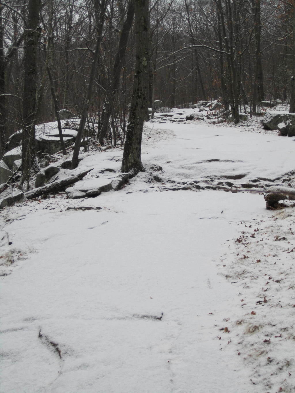 Photo: Icy Hiking Trail