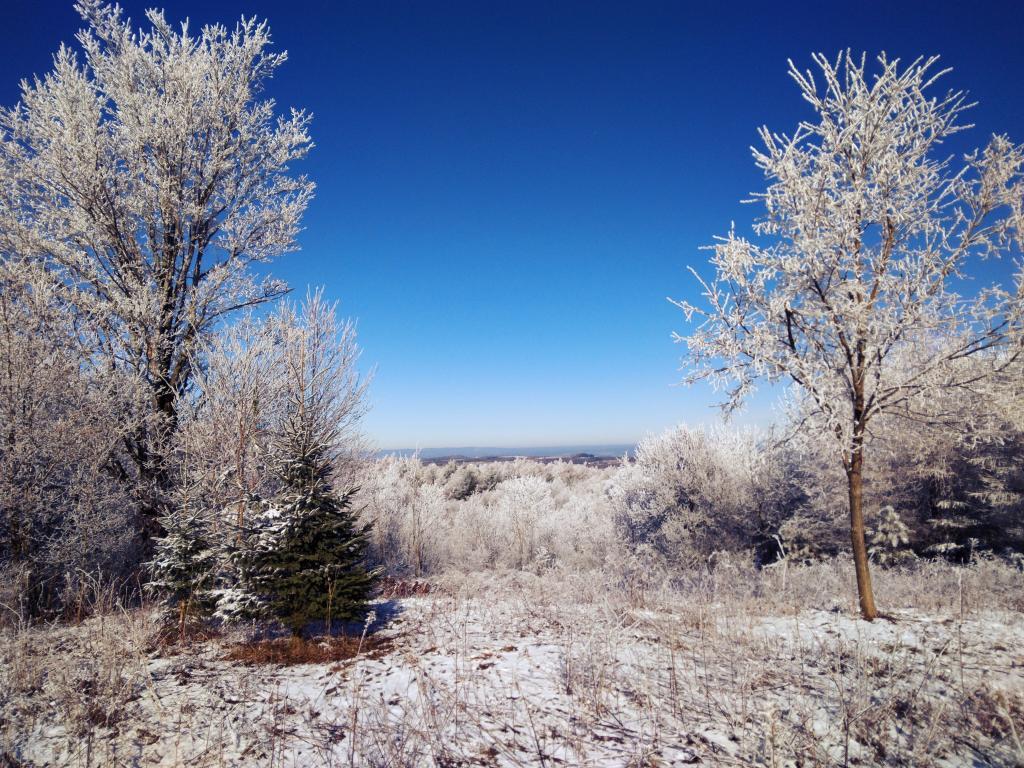 Photo: Hoar Frost on Tassell Hill Photo: Hoar Frost on Tassell Hill