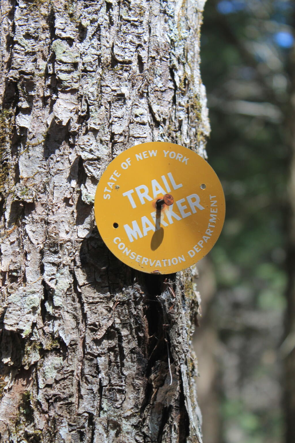 Photo: Conservation Department Marker
