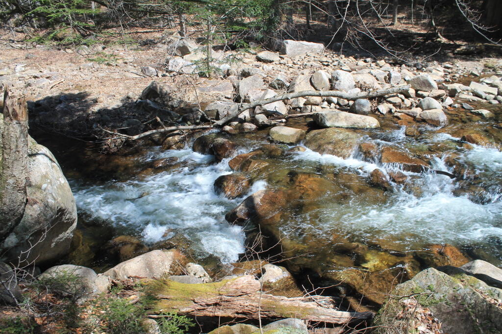 Photo: Along Kibby Brook