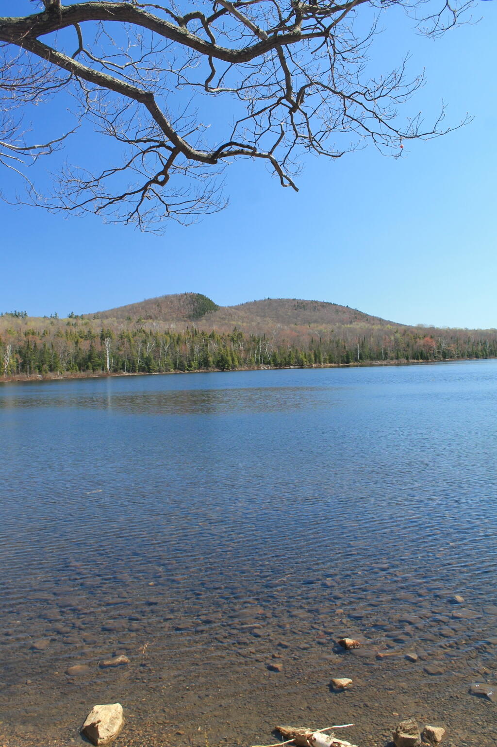 Photo: Across the Lake To Balm of Gilead Photo: Across the Lake To Balm of Gilead