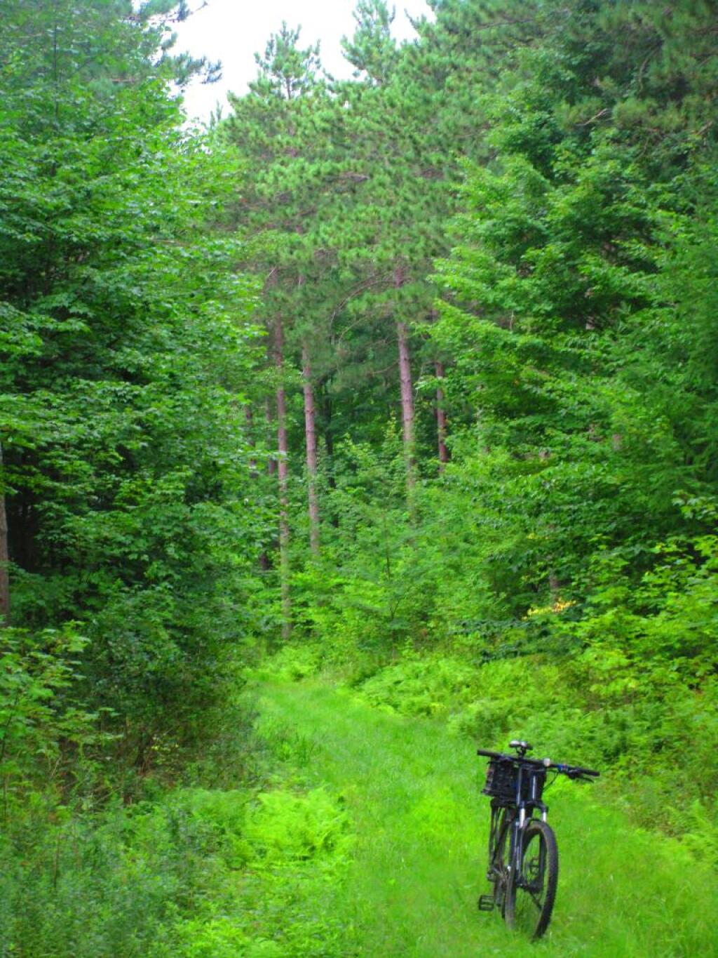 Photo: Riding the A-Trail up Sugar Hill Photo: Riding the A-Trail up Sugar Hill