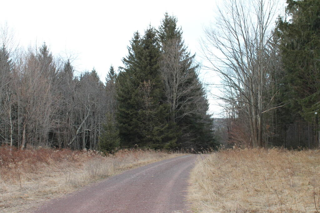 Photo: Walking Along CCC Road Photo: Walking Along CCC Road