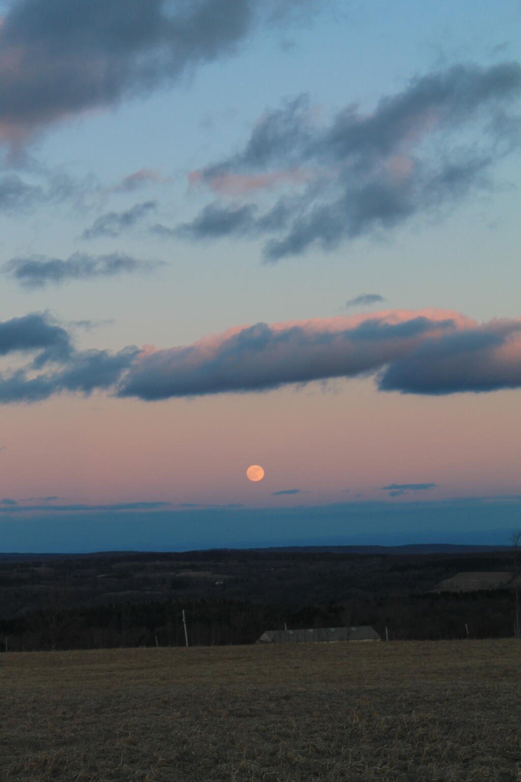 Photo: Moon Rising