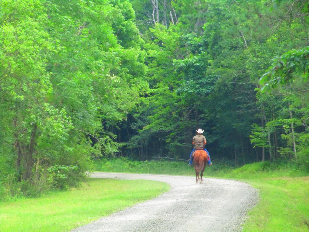 Photo: Horseback Rider 🐴 Photo: Horseback Rider 🐴
