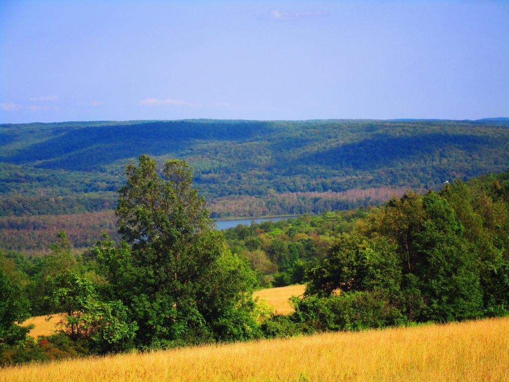 Photo: Connecticut Hill and Cayuta Lake Photo: Connecticut Hill and Cayuta Lake