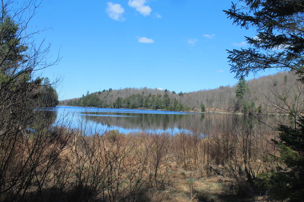 Photo: Huntley Pond Photo: Huntley Pond