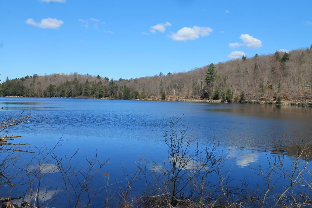 Photo: Huntley Pond from Shoreline Photo: Huntley Pond from Shoreline