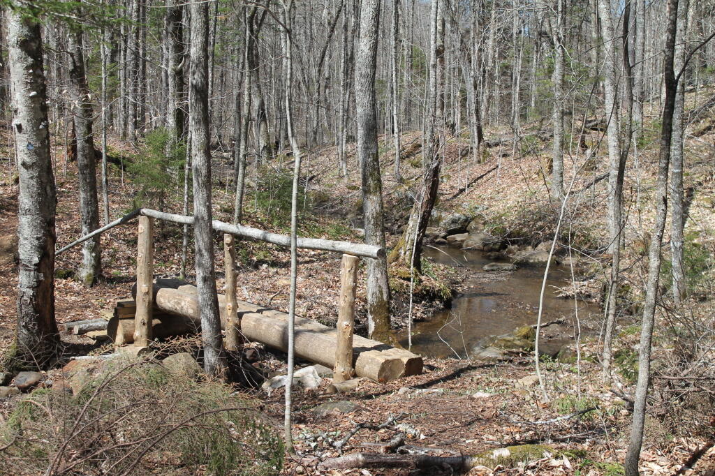 Photo: Nate Pond Brook Photo: Nate Pond Brook
