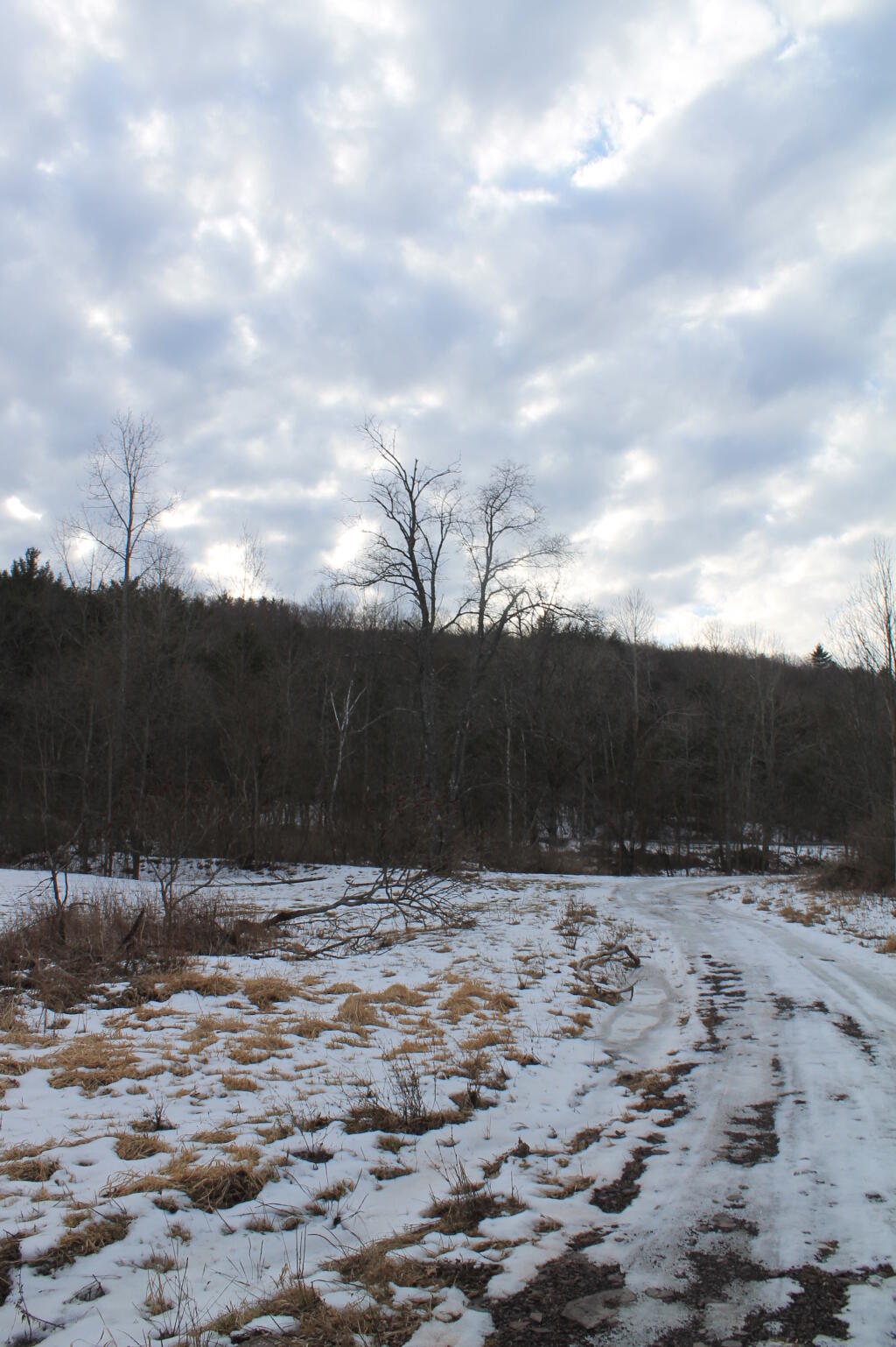 Photo: Clouds