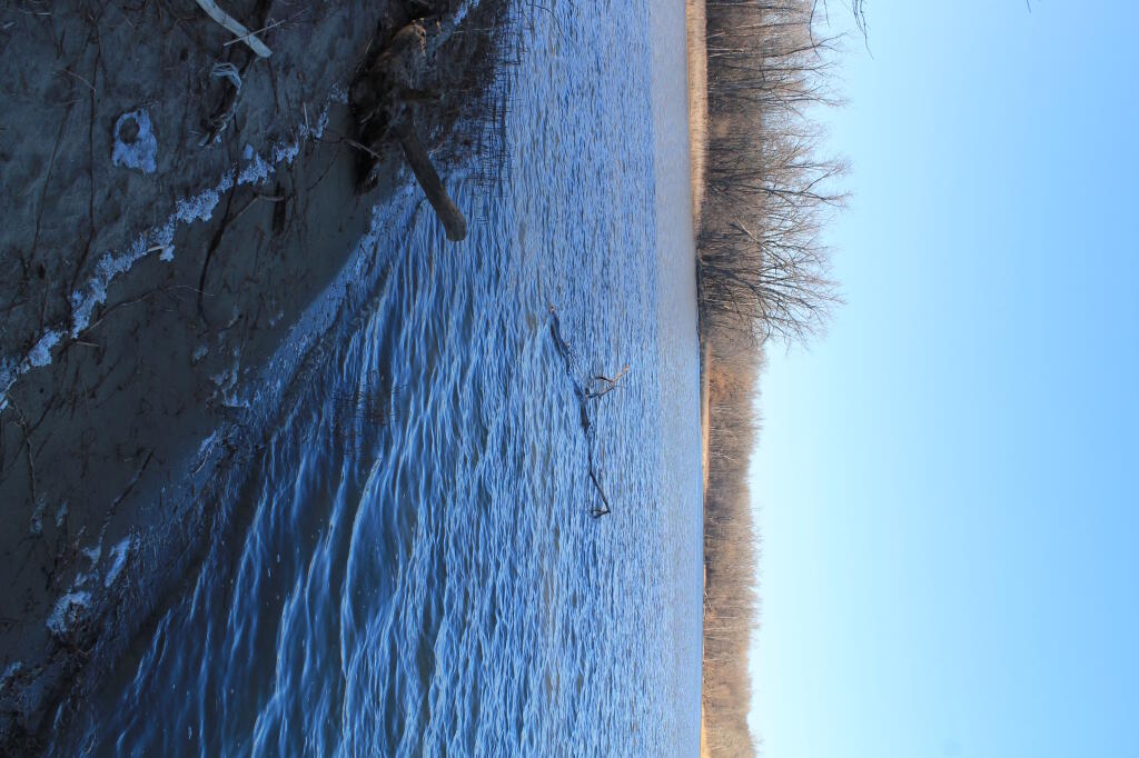 Photo: Shoreline Photo: Shoreline