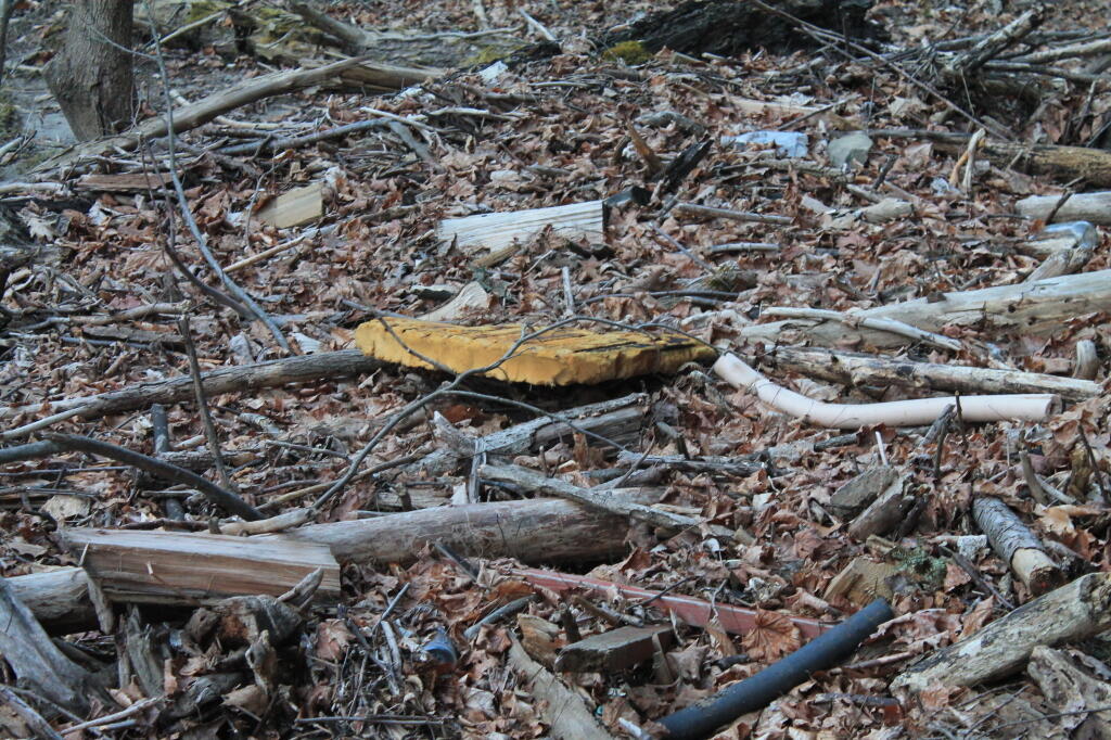 Photo: Junk Washed Down the Hannacroix Creek Photo: Junk Washed Down the Hannacroix Creek