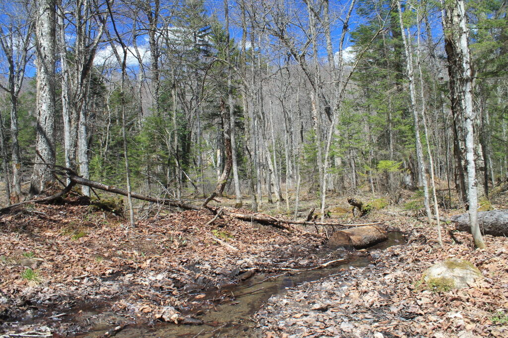 Photo: I think that's the Trail Photo: I think that's the Trail