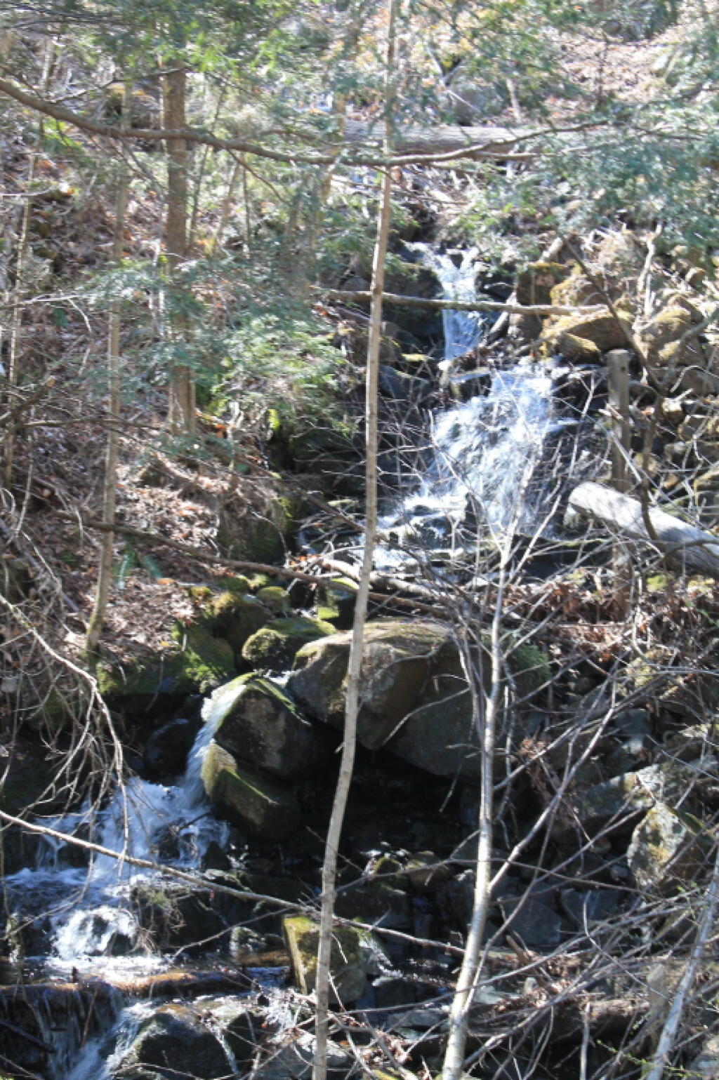 Photo: Waterfall Along the Tracks Photo: Waterfall Along the Tracks