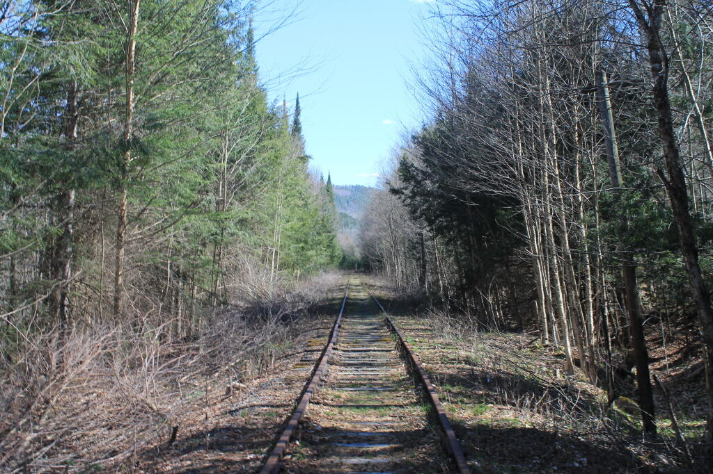 Photo: Shady in the Valley Photo: Shady in the Valley