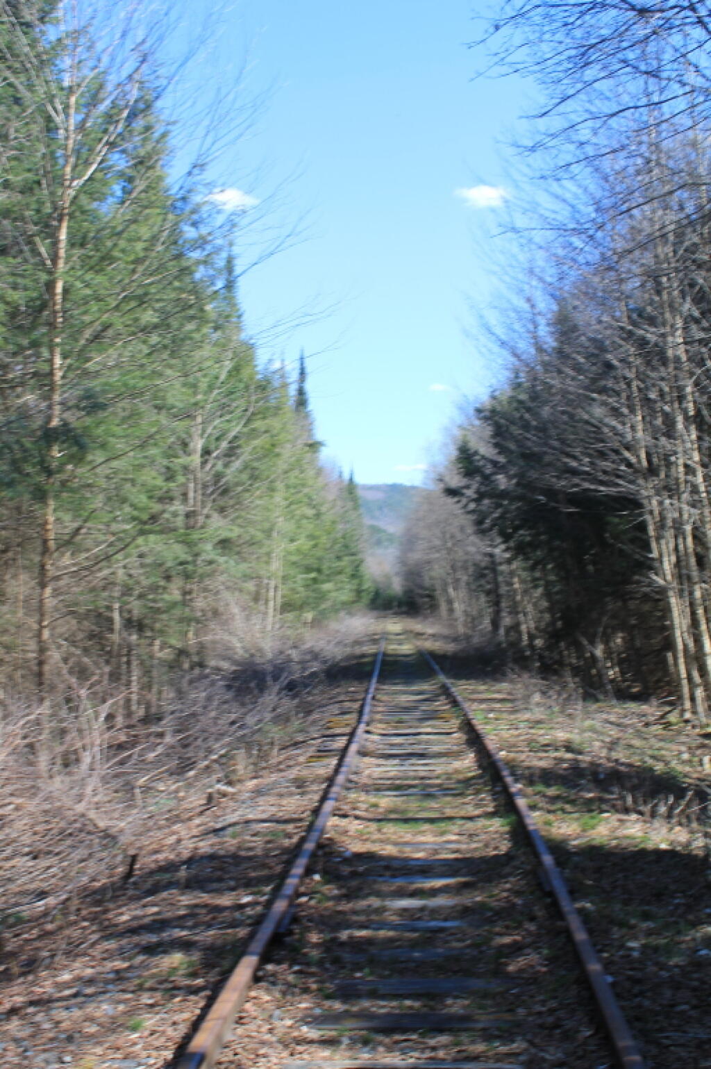 Photo: Tracks Photo: Tracks