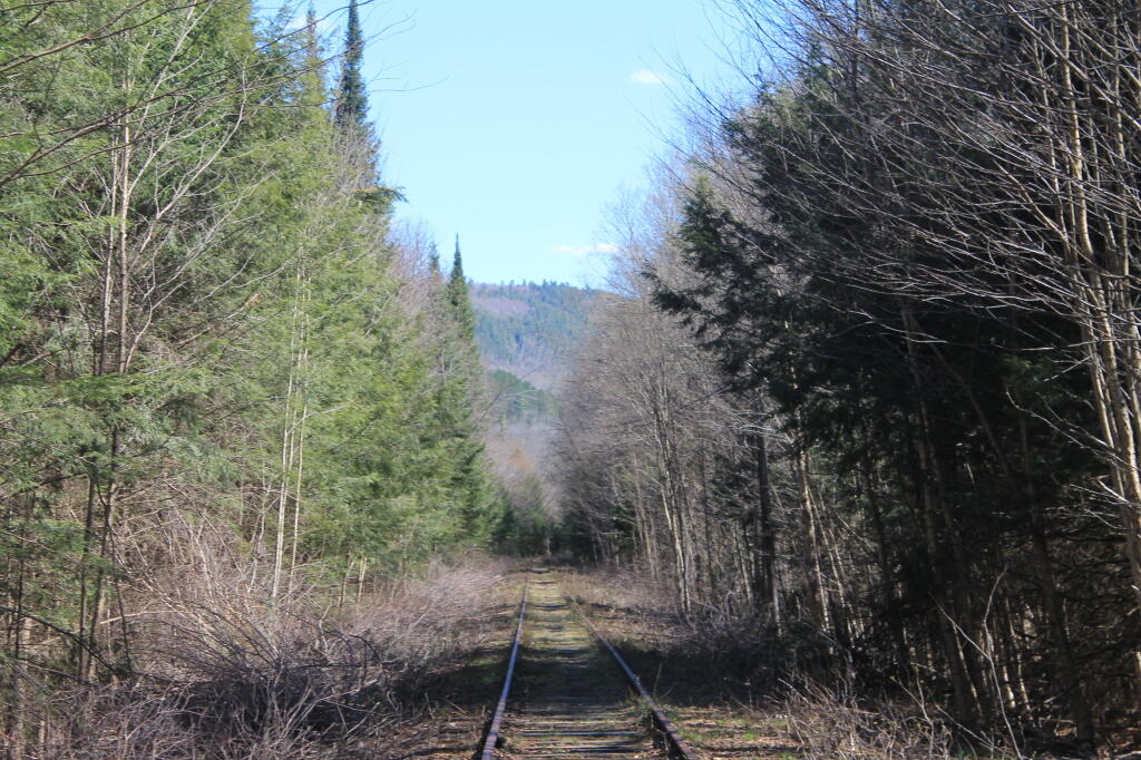 Photo: Mountains in the Distance Photo: Mountains in the Distance