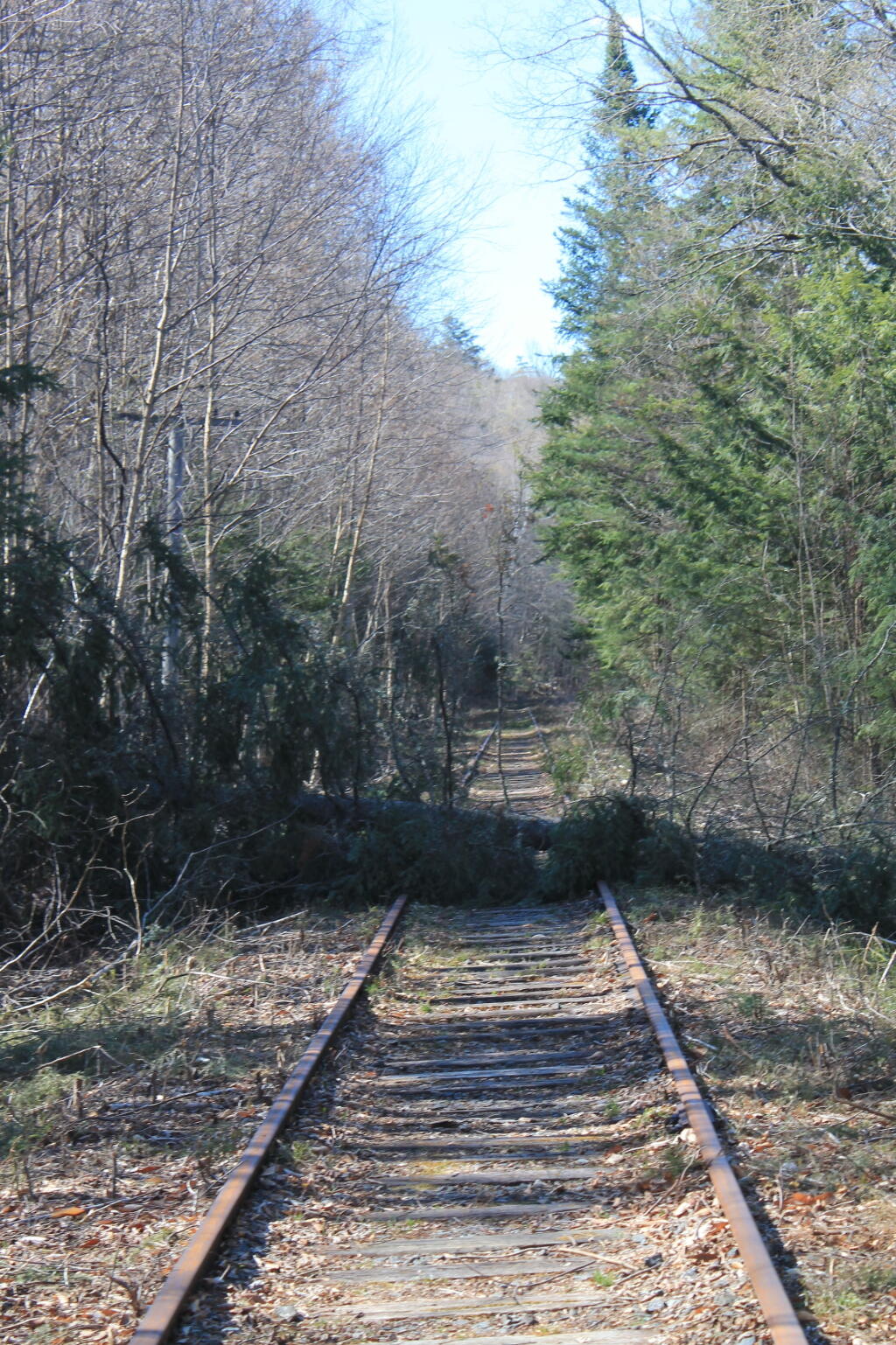 Photo: Won't Be Any Trains Today Photo: Won't Be Any Trains Today