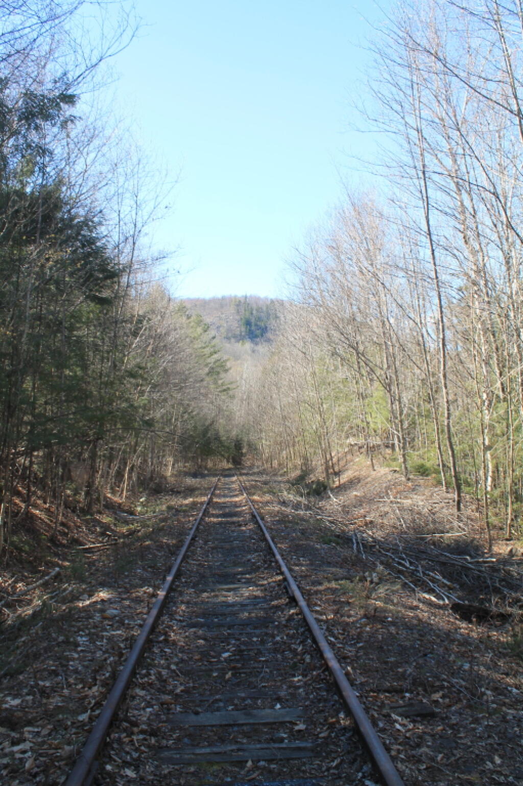Photo: Railroad Tracks Photo: Railroad Tracks