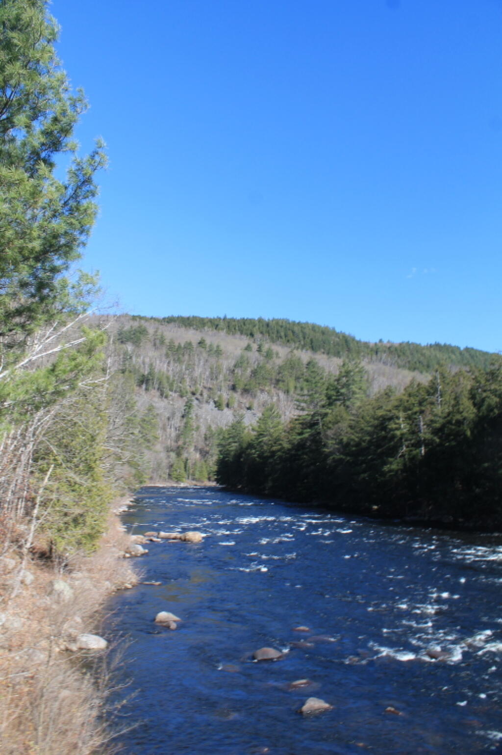 Photo: The River Photo: The River