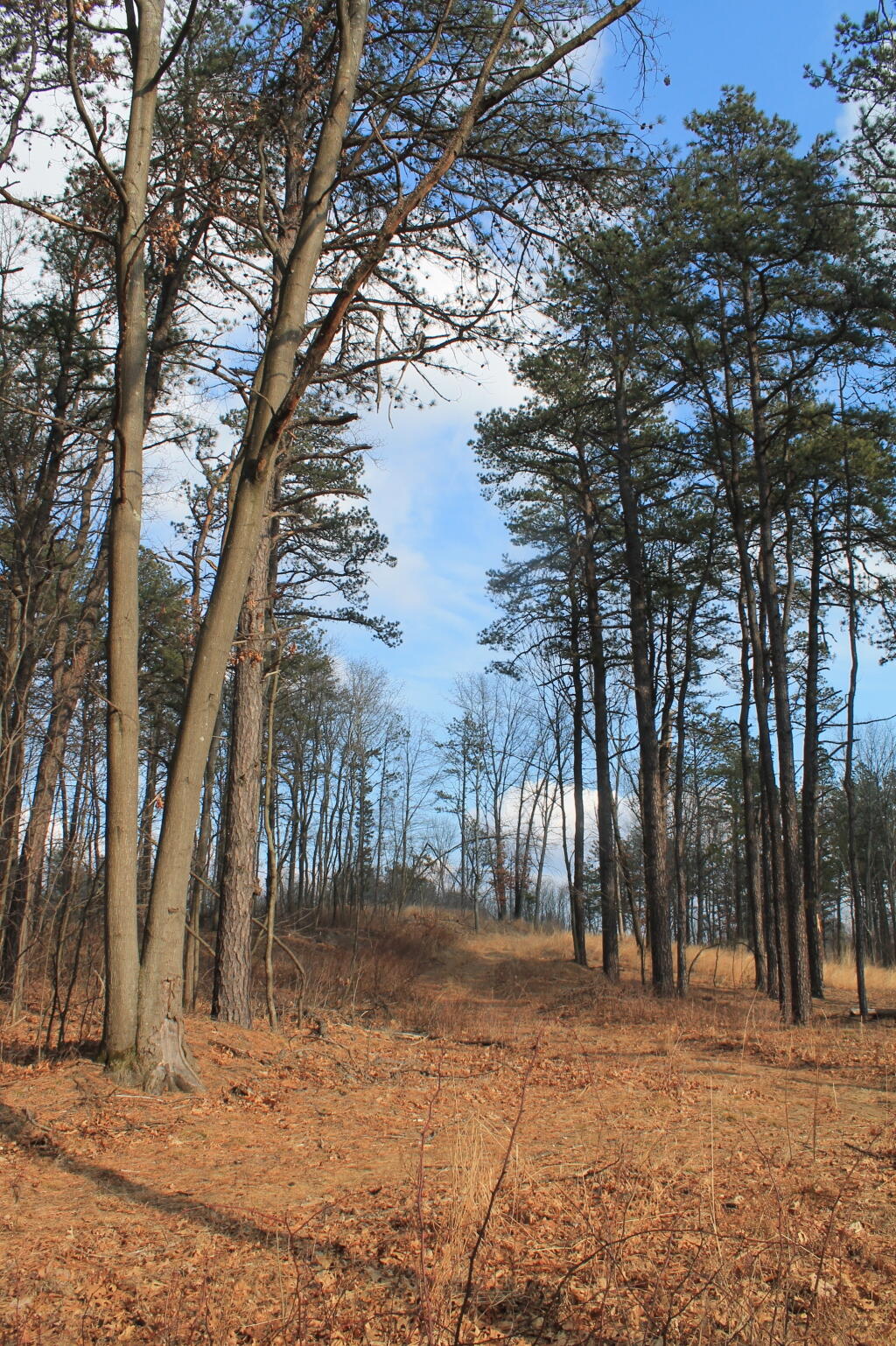 Photo: Slope