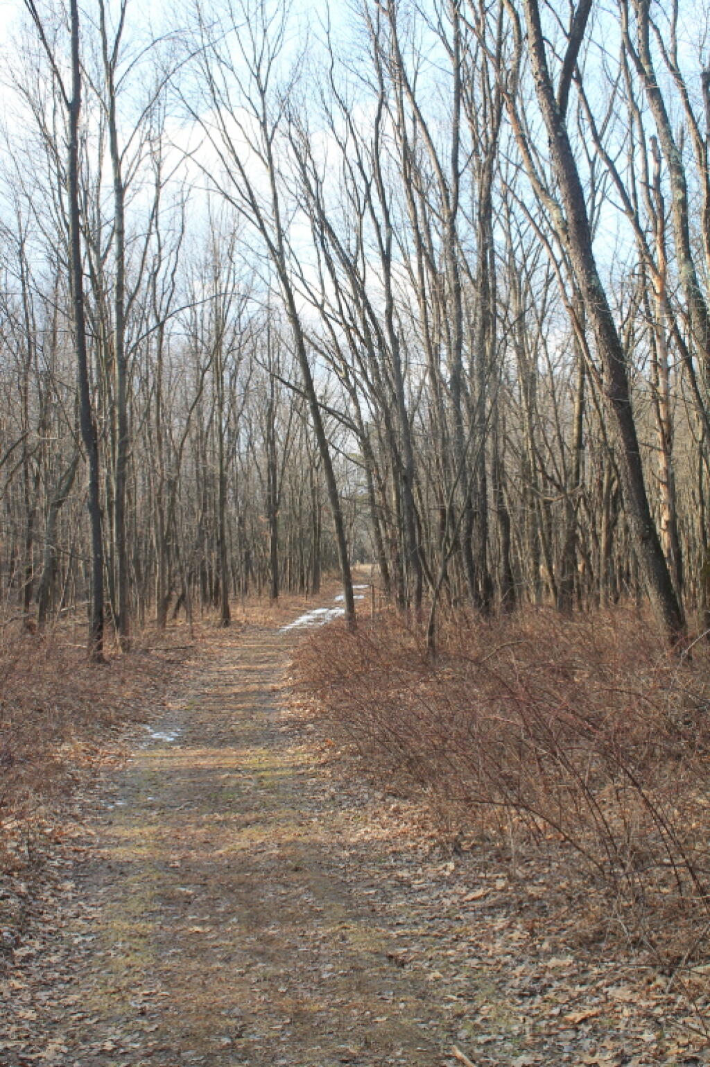 Photo: Along the Road