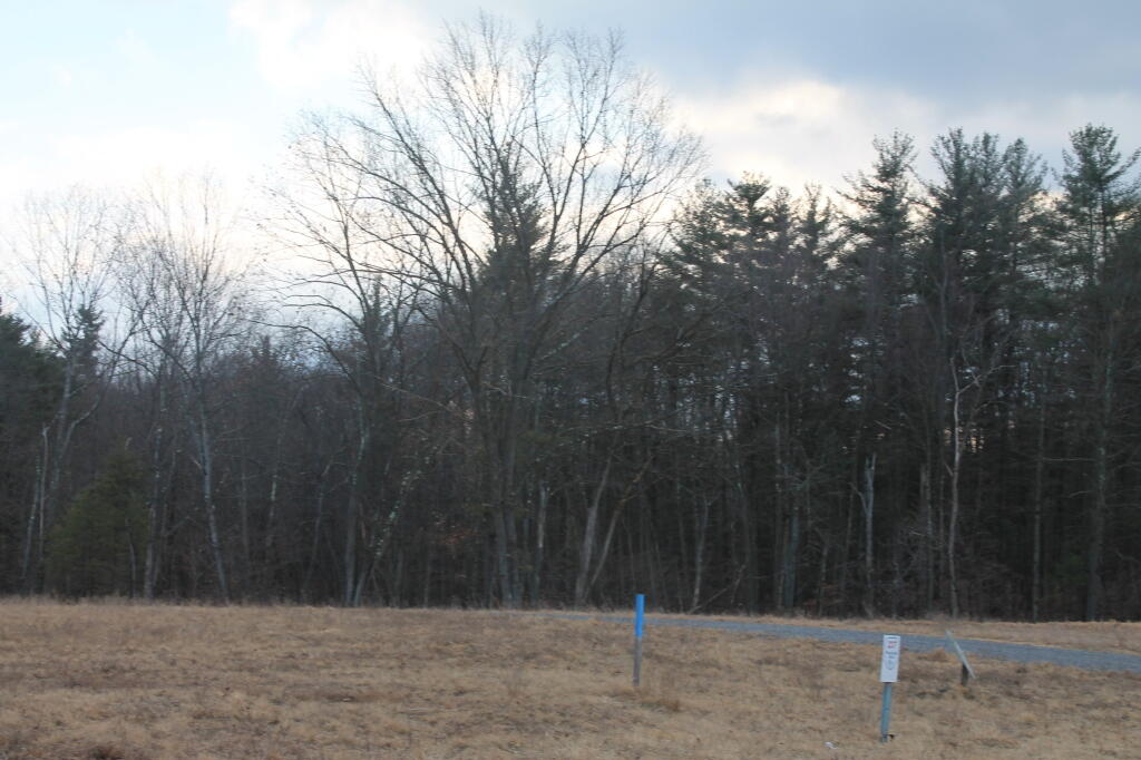 Photo: Landfilled Shore of the Hunger Kill Tributory Photo: Landfilled Shore of the Hunger Kill Tributory