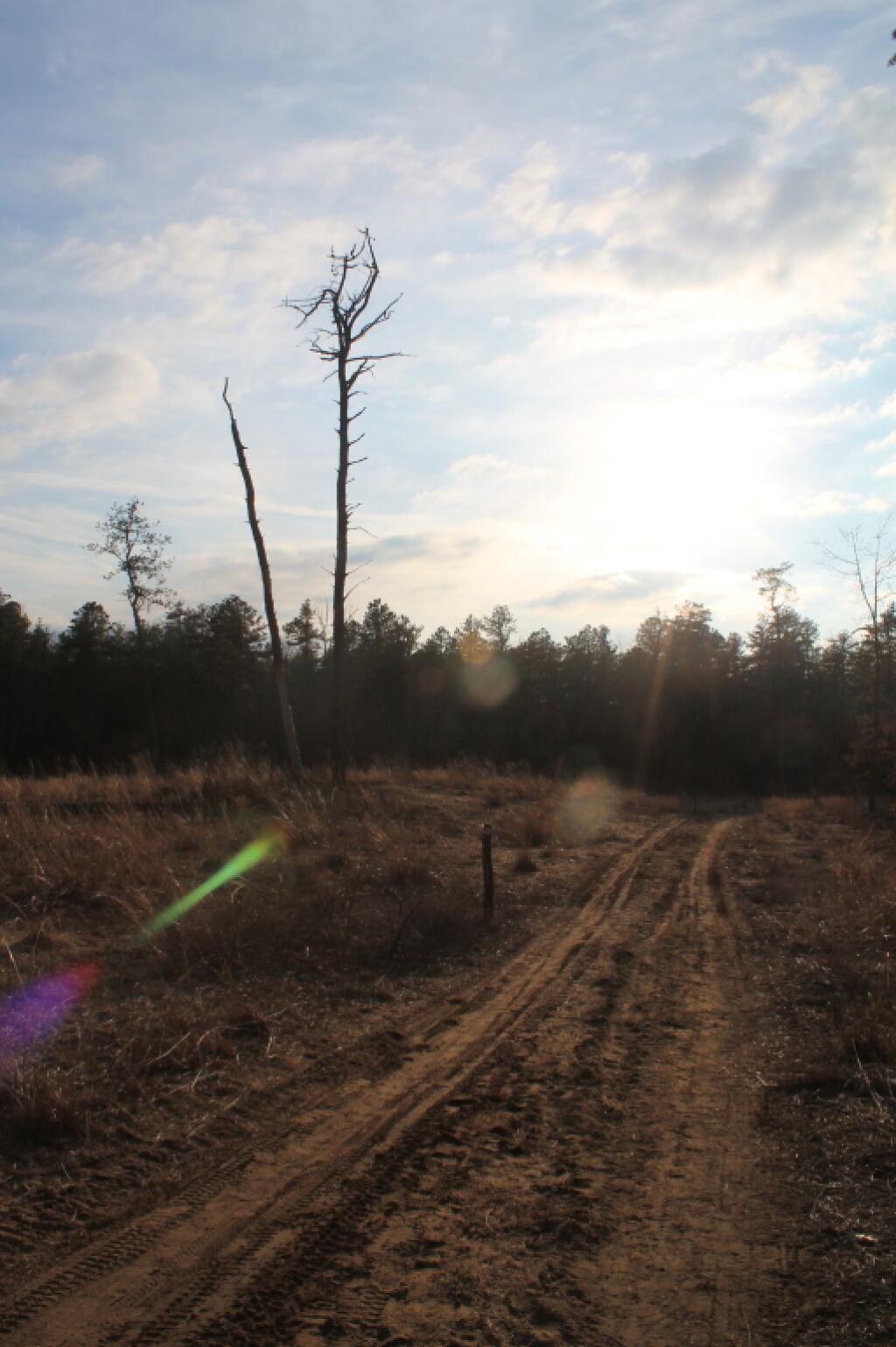Photo: Sunlight