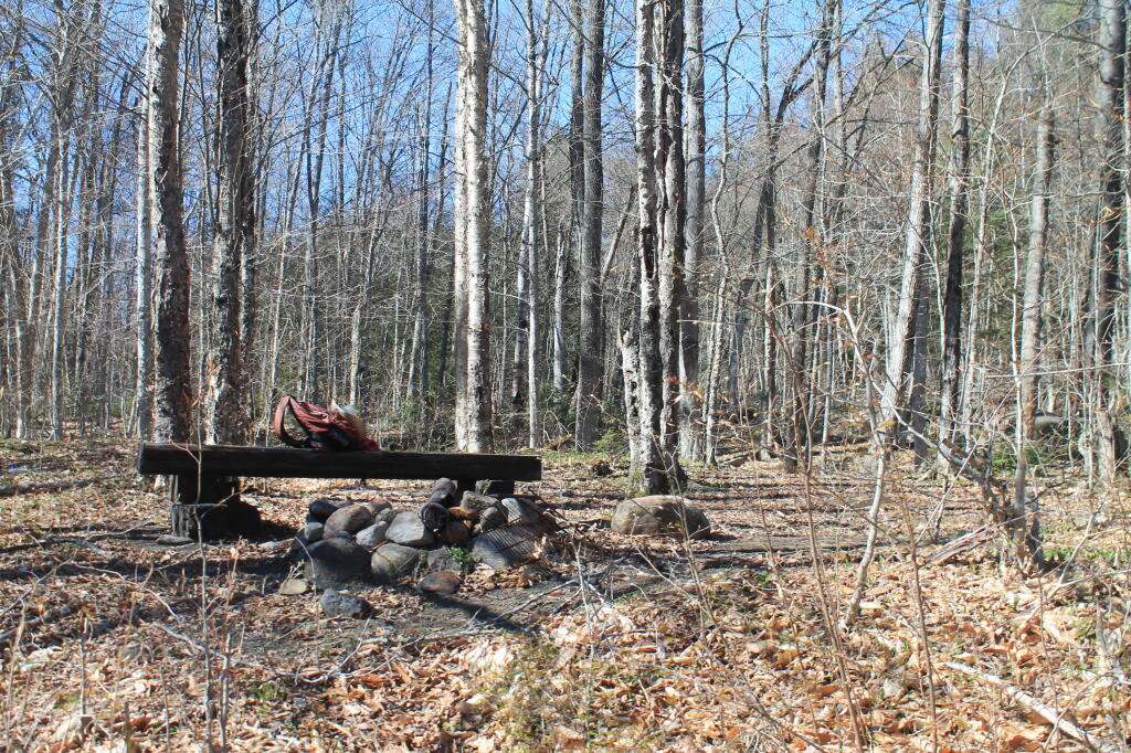 Photo: Campsite on the Hudson Photo: Campsite on the Hudson