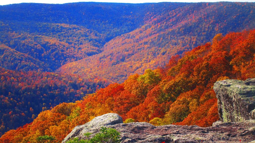 Photo: Mount Red