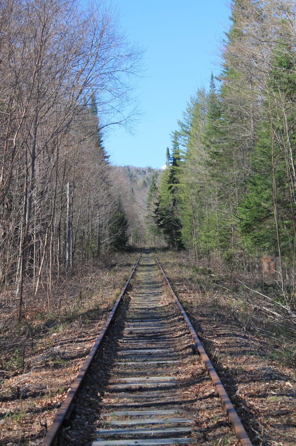 Photo: Straight Photo: Straight
