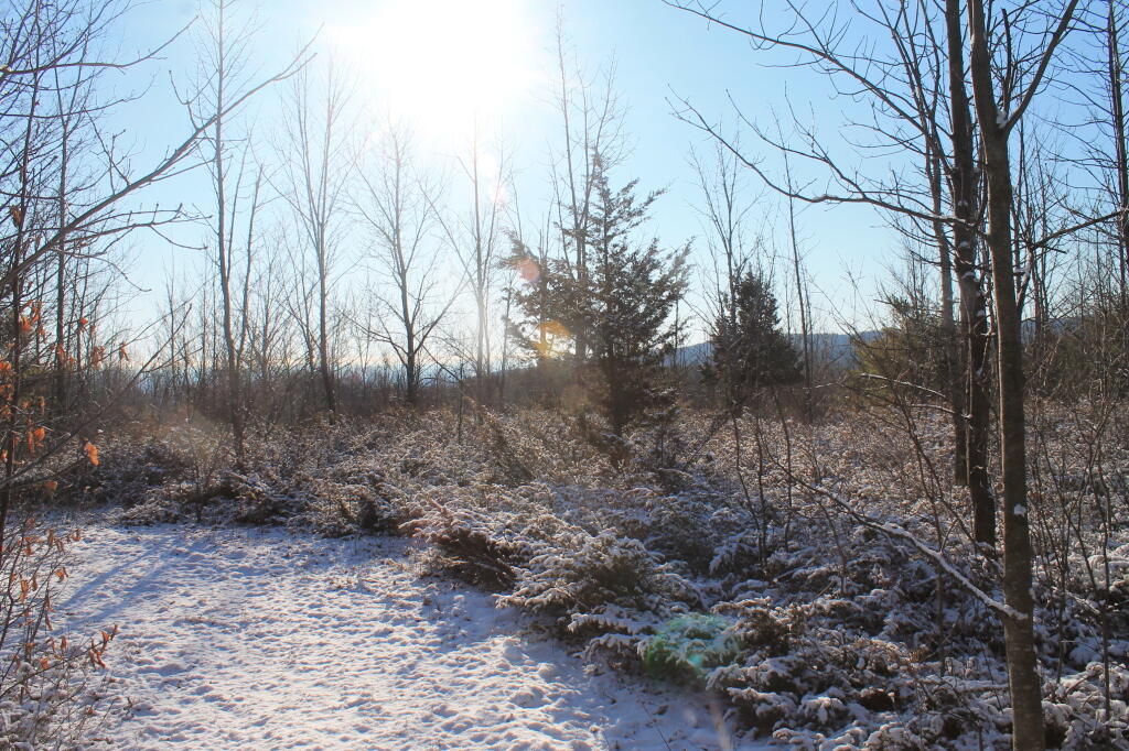 Photo: Sparkling Sun Photo: Sparkling Sun