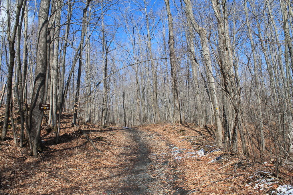 Photo: Nice Day on Carrick Road Photo: Nice Day on Carrick Road