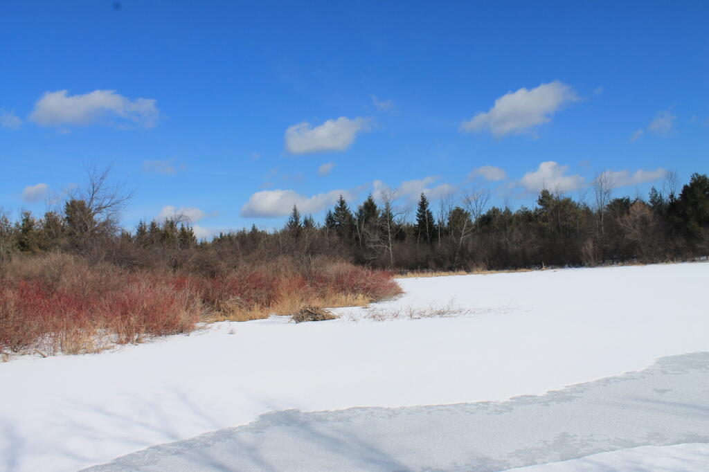 Photo: Frozen Pond Photo: Frozen Pond