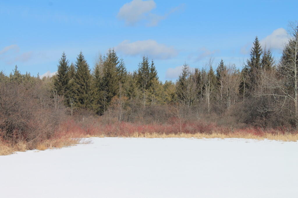 Photo: Ice Covered Lake Photo: Ice Covered Lake