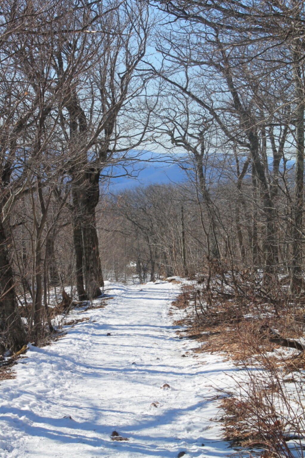 Photo: Looking Back Down the Mountain