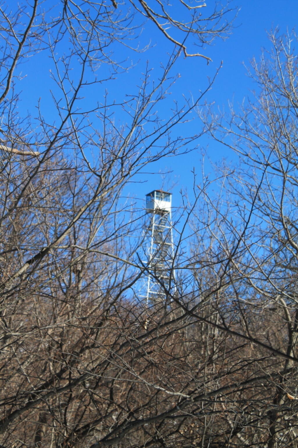 Photo: There's the Firetower