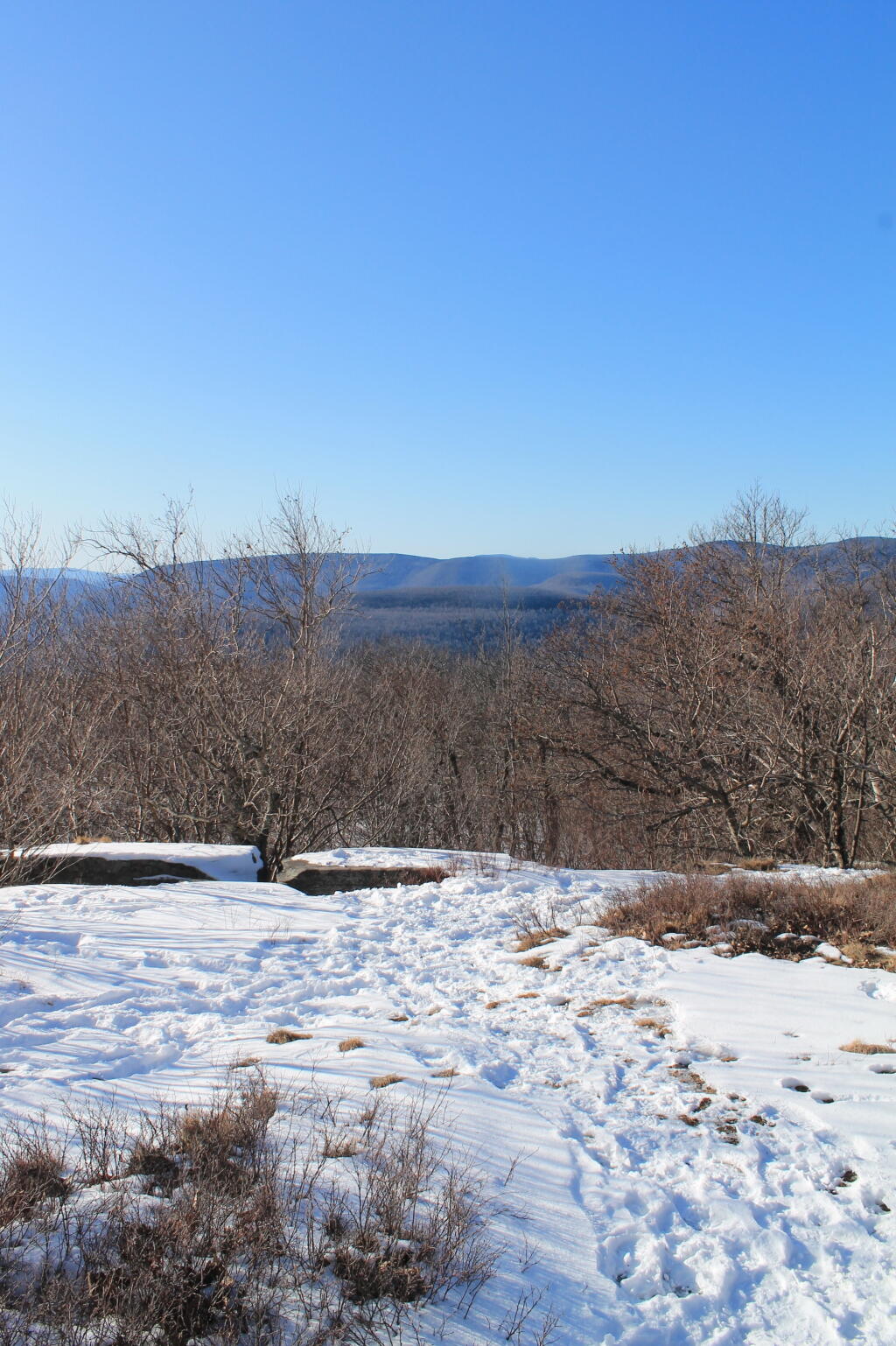 Photo: View Off Open Area