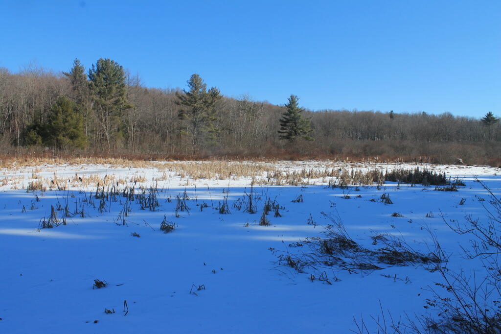 Photo: Across the Frozen Marsh