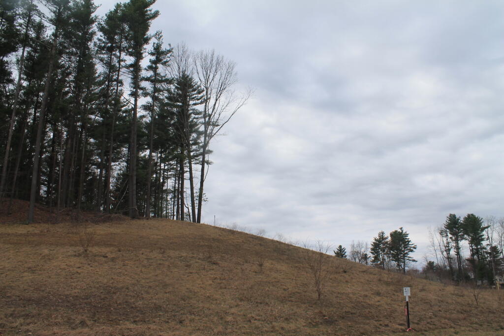 Photo: What Pine Bush Dune ?