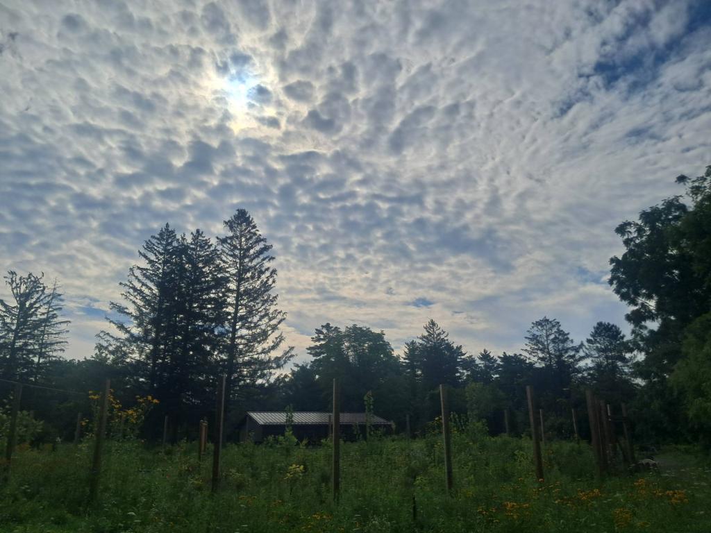 Photo: Cloudy ⛅ [Expires September 5 2026]