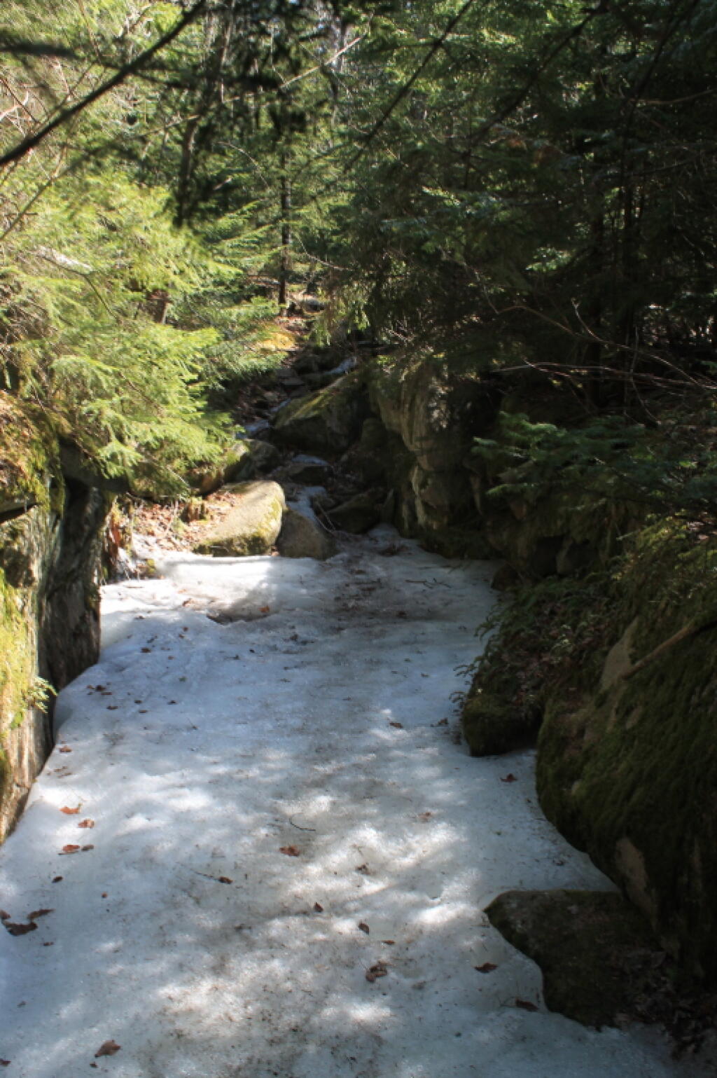 Photo: Deep Ice Photo: Deep Ice